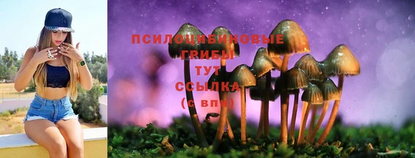 спиды Верхний Тагил