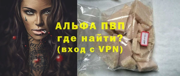 хмурый Верея